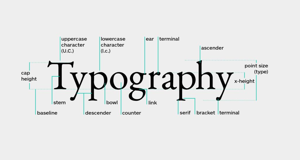What are the principles of typography