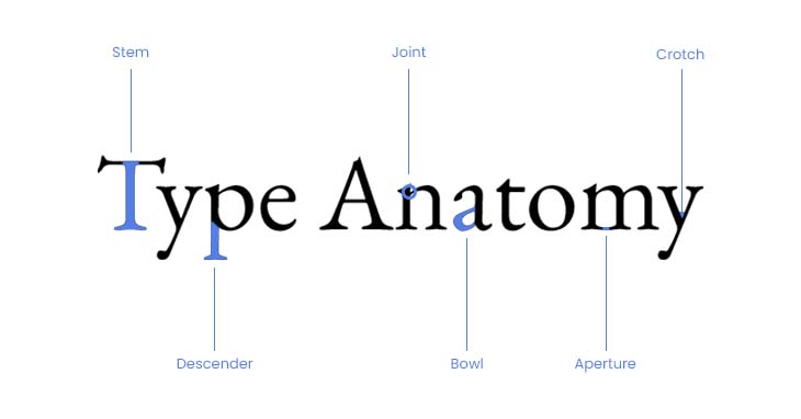 What is typography structure